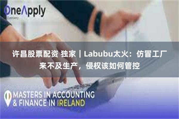 许昌股票配资 独家｜Labubu太火：仿冒工厂来不及生产，侵权该如何管控