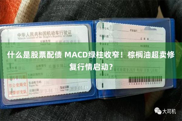 什么是股票配债 MACD绿柱收窄！棕榈油超卖修复行情启动？