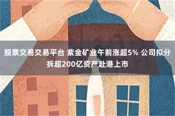 股票交易交易平台 紫金矿业午前涨超5% 公司拟分拆超200亿资产赴港上市