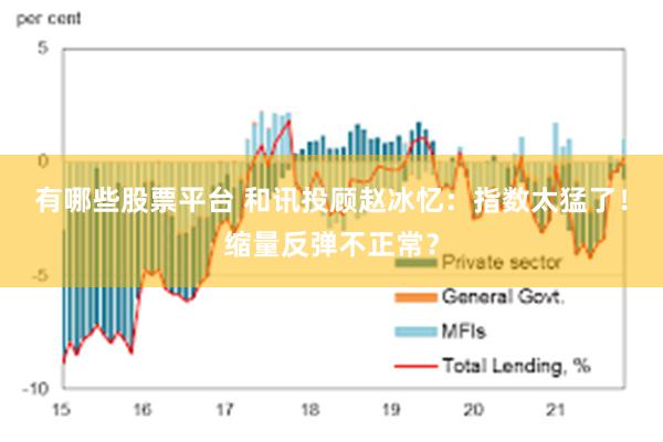 有哪些股票平台 和讯投顾赵冰忆：指数太猛了！缩量反弹不正常？