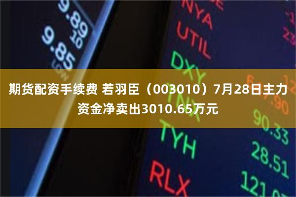 期货配资手续费 若羽臣（003010）7月28日主力资金净卖出3010.65万元