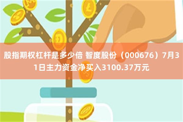 股指期权杠杆是多少倍 智度股份（000676）7月31日主力资金净买入3100.37万元