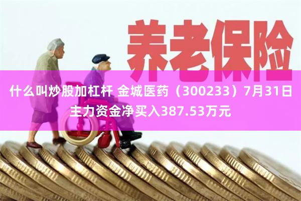 什么叫炒股加杠杆 金城医药（300233）7月31日主力资金净买入387.53万元