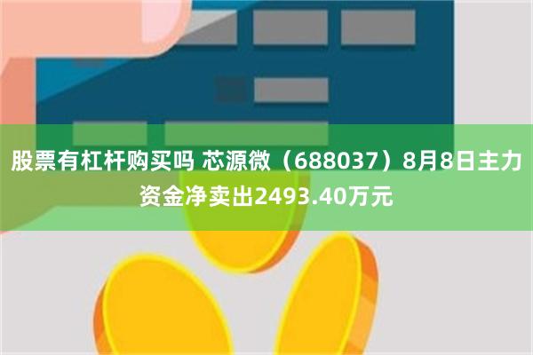 股票有杠杆购买吗 芯源微（688037）8月8日主力资金净卖出2493.40万元