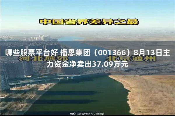 哪些股票平台好 播恩集团（001366）8月13日主力资金净卖出37.09万元