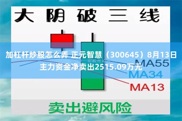 加杠杆炒股怎么弄 正元智慧（300645）8月13日主力资金净卖出2515.09万元