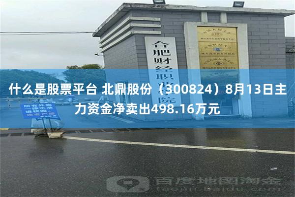 什么是股票平台 北鼎股份（300824）8月13日主力资金净卖出498.16万元