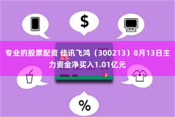 专业的股票配资 佳讯飞鸿（300213）8月13日主力资金净买入1.01亿元