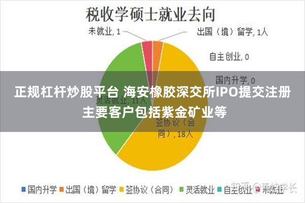 正规杠杆炒股平台 海安橡胶深交所IPO提交注册 主要客户包括紫金矿业等