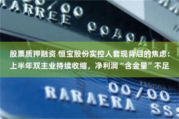 股票质押融资 恒宝股份实控人套现背后的焦虑：上半年双主业持续收缩，净利润“含金量”不足