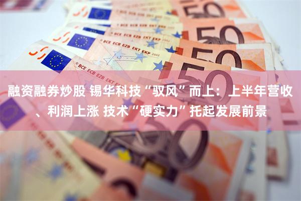融资融券炒股 锡华科技“驭风”而上：上半年营收、利润上涨 技术“硬实力”托起发展前景