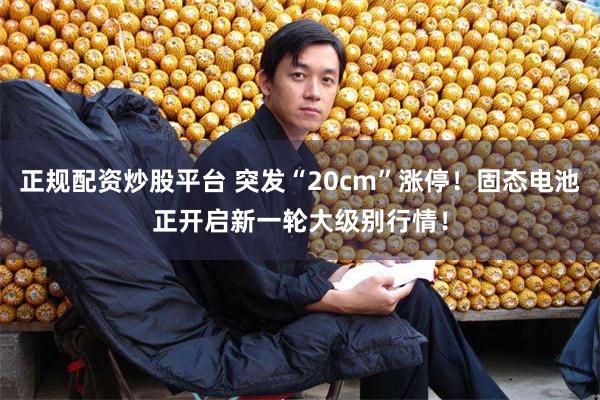 正规配资炒股平台 突发“20cm”涨停！固态电池正开启新一轮大级别行情！