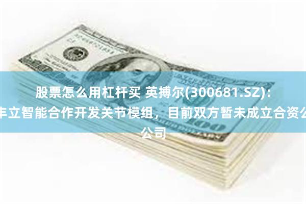 股票怎么用杠杆买 英搏尔(300681.SZ)：与丰立智能合作开发关节模组，目前双方暂未成立合资公司