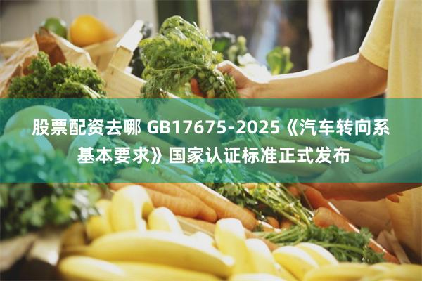 股票配资去哪 GB17675-2025《汽车转向系 基本要求》国家认证标准正式发布